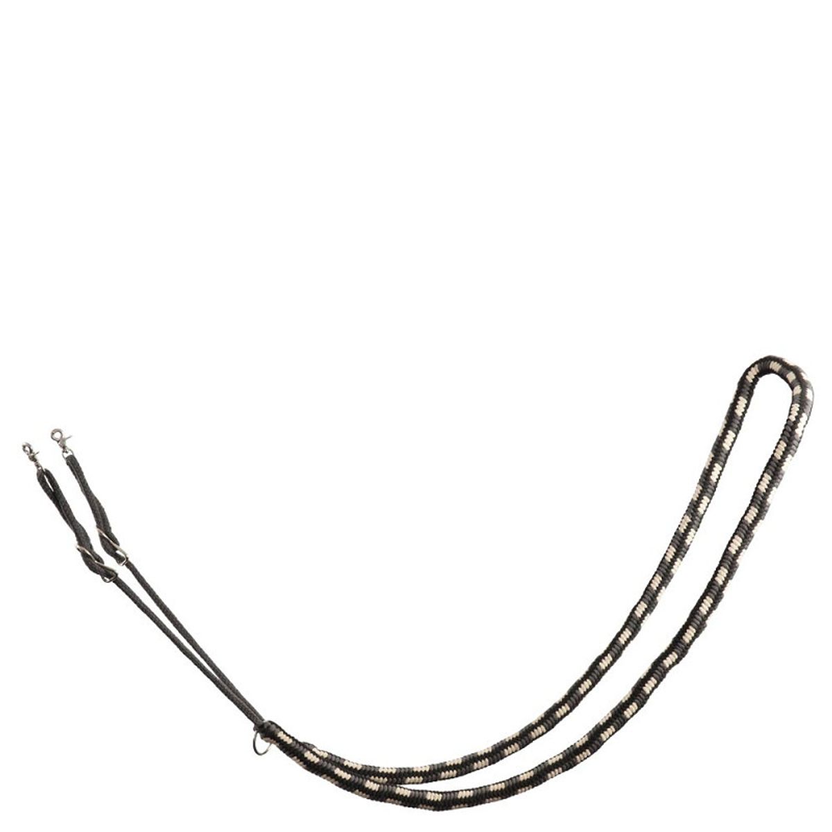 BR Lunging Aid 
