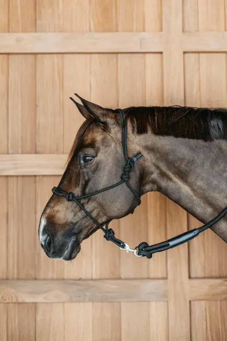 Hovedbilde Dyon Training Halter Working By Dyon 