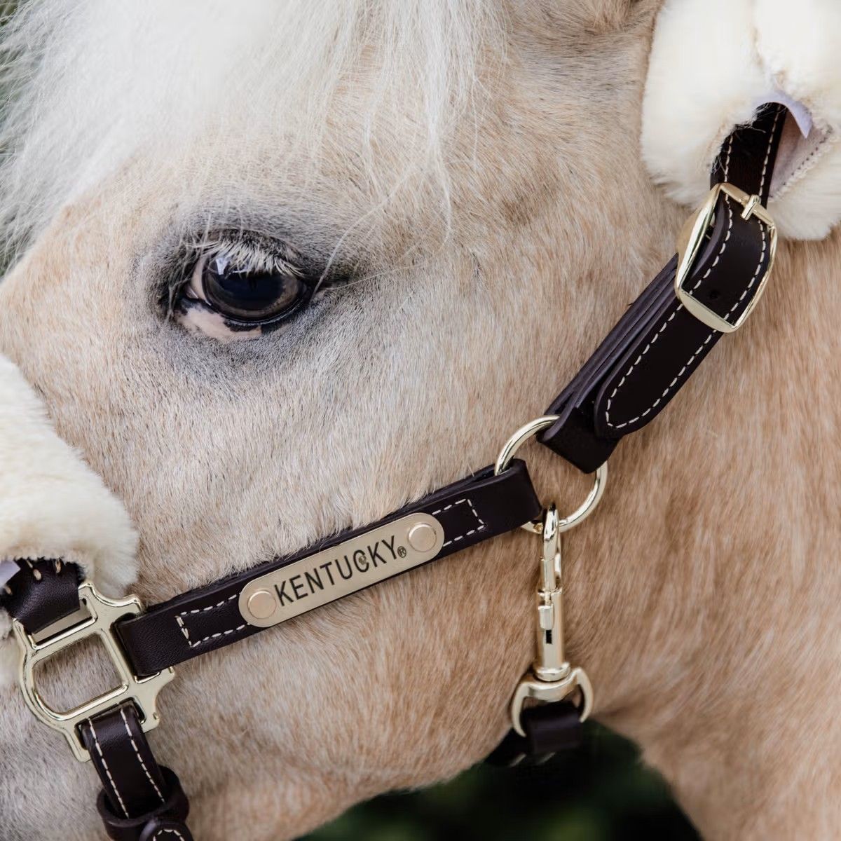 Kentucky Leather Halter Sheepskin