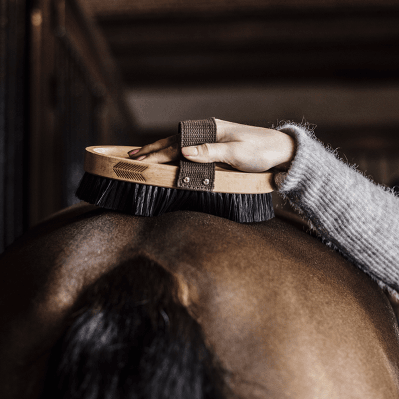 Grooming DeLuxe Overall Brush Hard