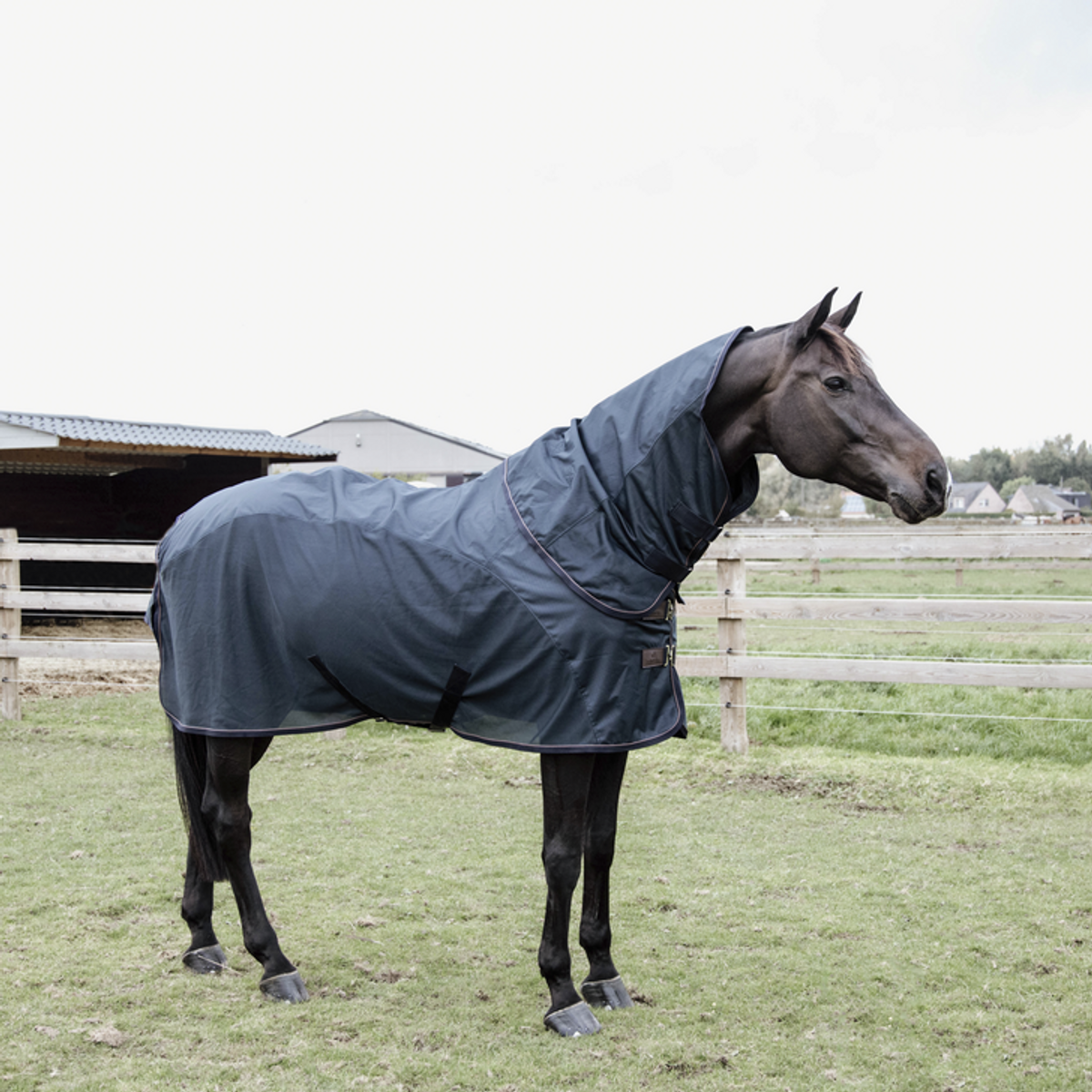 Kentucky Combo Fly Rug Waterproof Classic